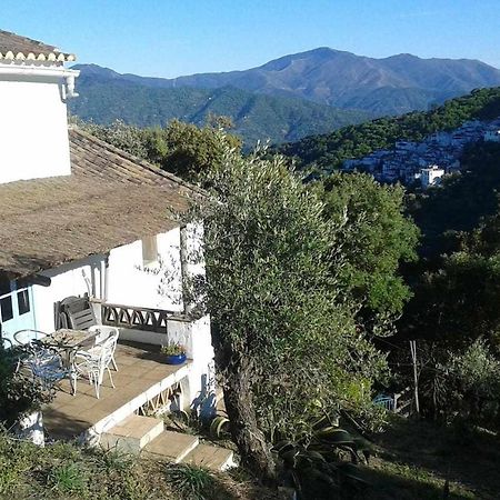 Casa El Chaparral Songbird Mountain Apartment Benadalid Exterior photo