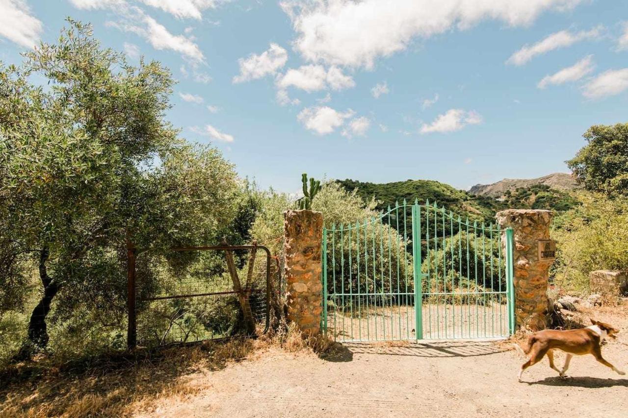 Casa El Chaparral Songbird Mountain Apartment Benadalid Exterior photo